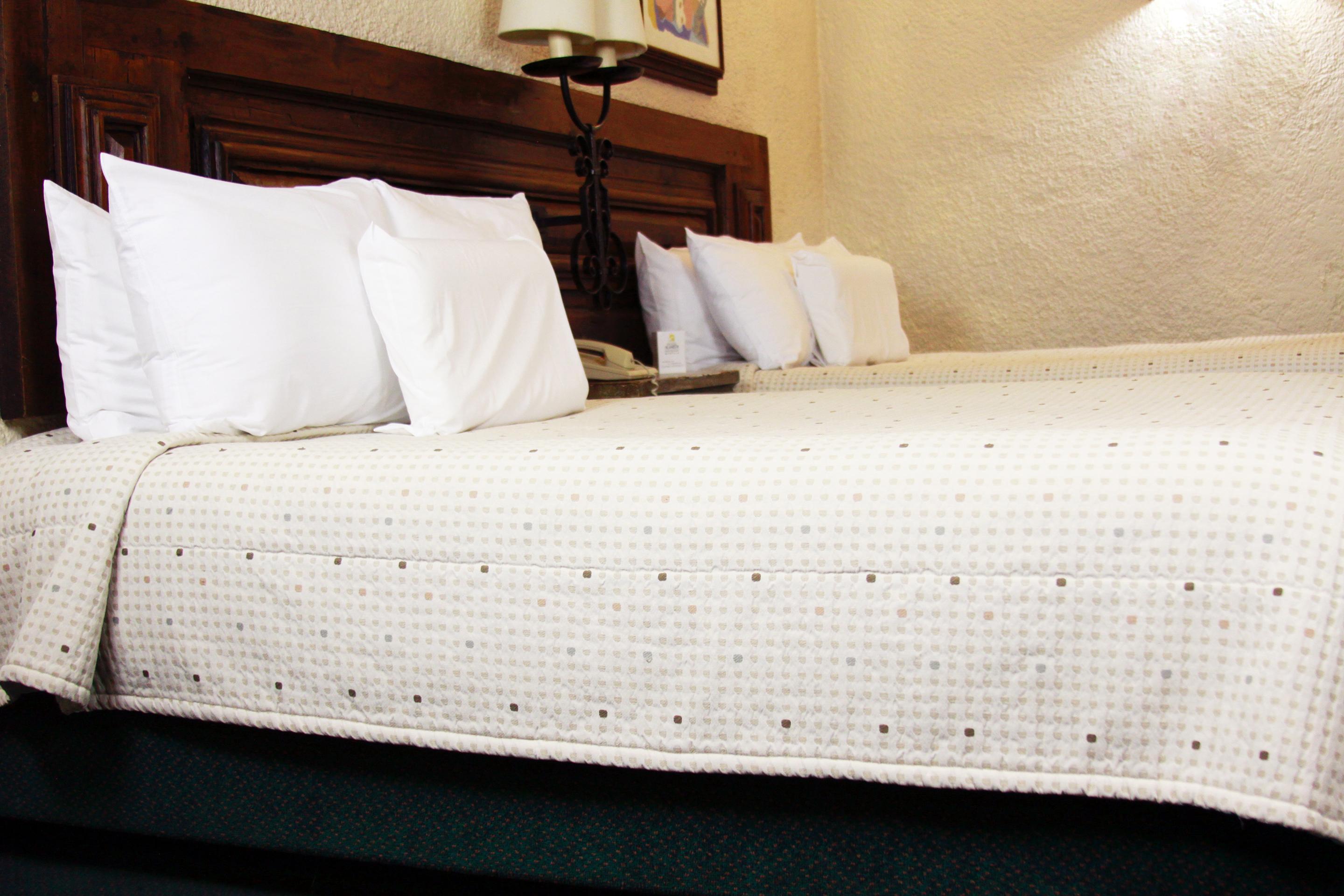 Hotel Alameda Centro Historico Μορέλια Εξωτερικό φωτογραφία